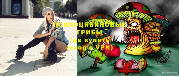 Альфа ПВП Абаза